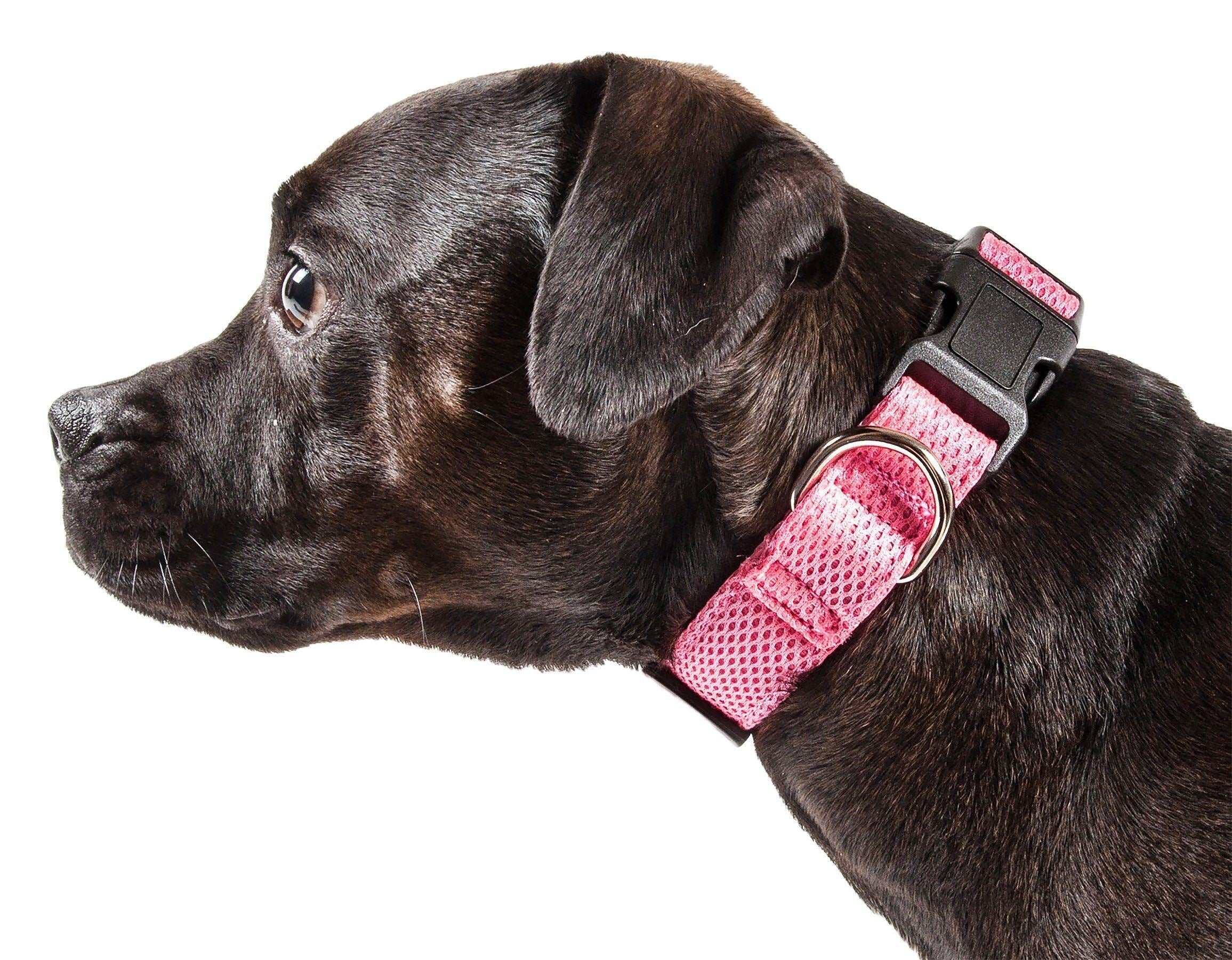 Aero Mesh Dual-Sided Breathable Adjustable Mesh Dog Collar – Multiple Colors