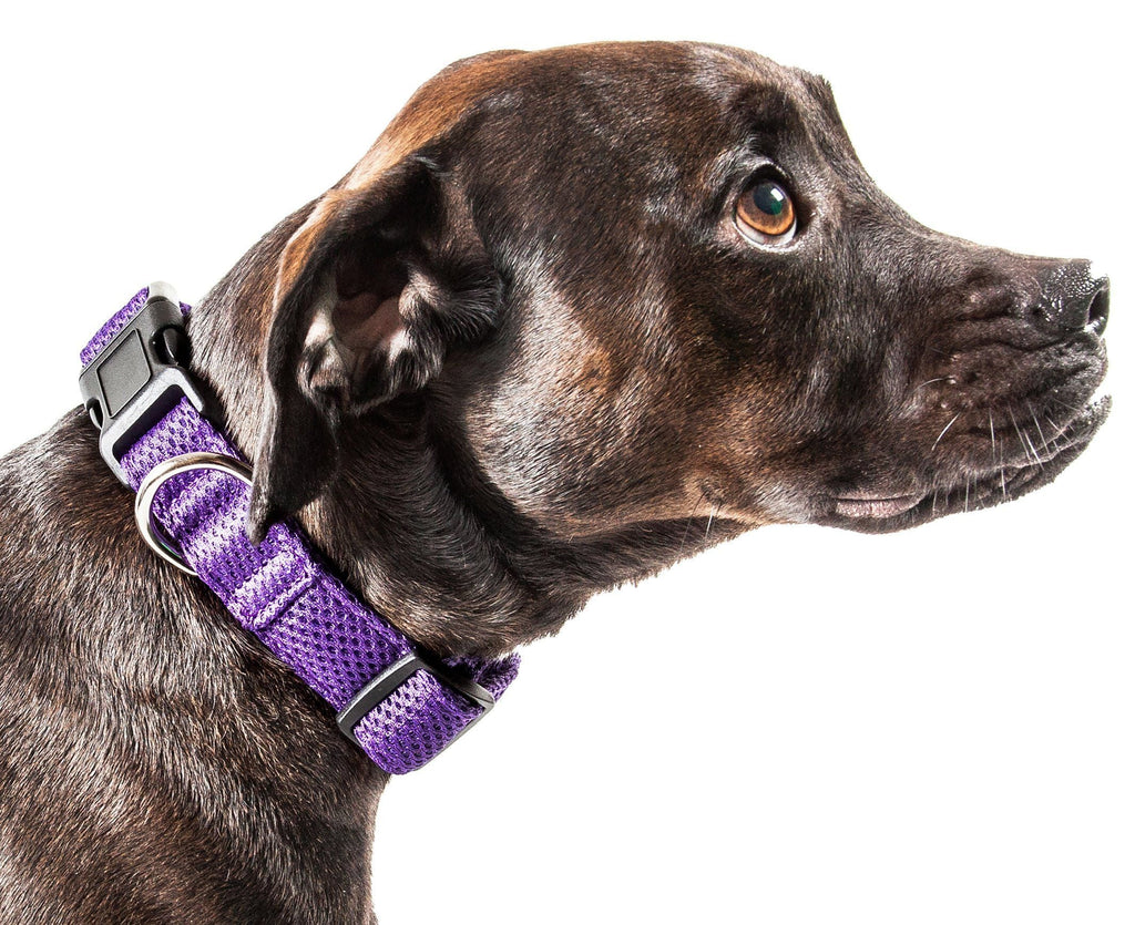 Aero Mesh Dual-Sided Breathable Adjustable Mesh Dog Collar – Multiple Colors