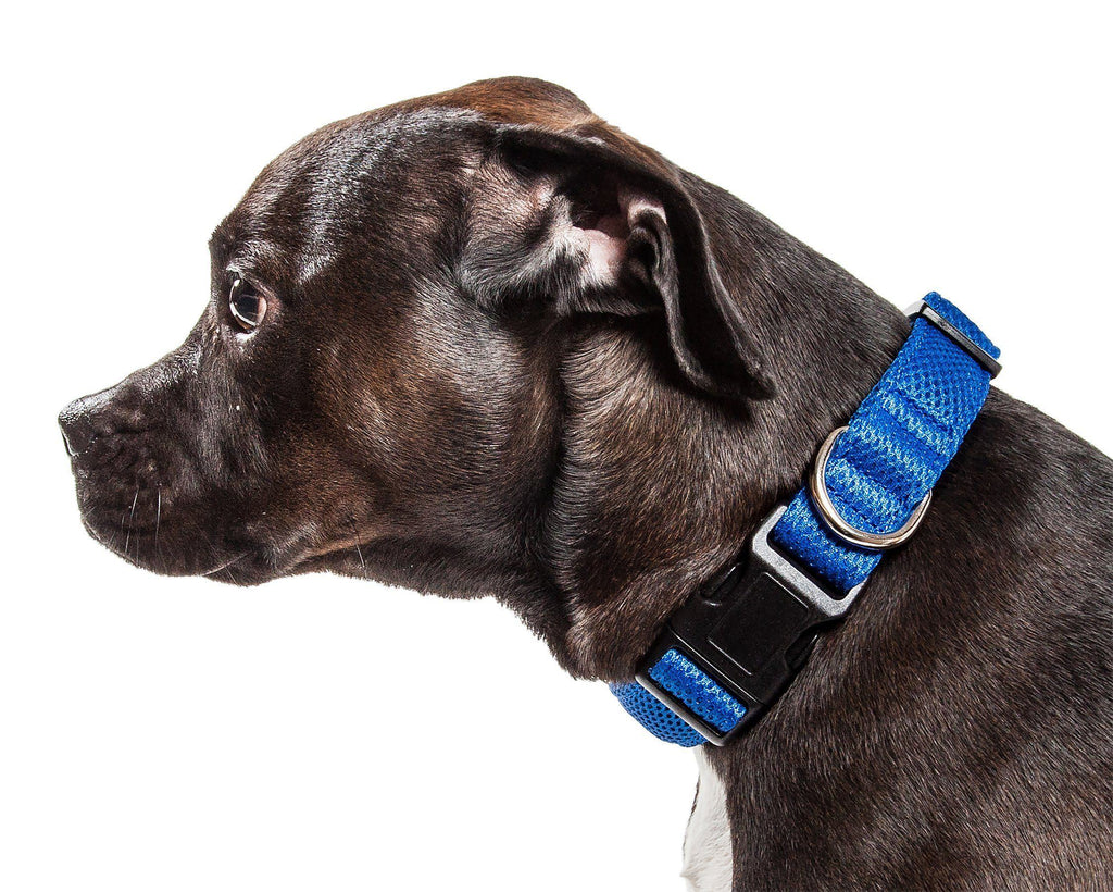 Aero Mesh Dual-Sided Breathable Adjustable Mesh Dog Collar – Multiple Colors