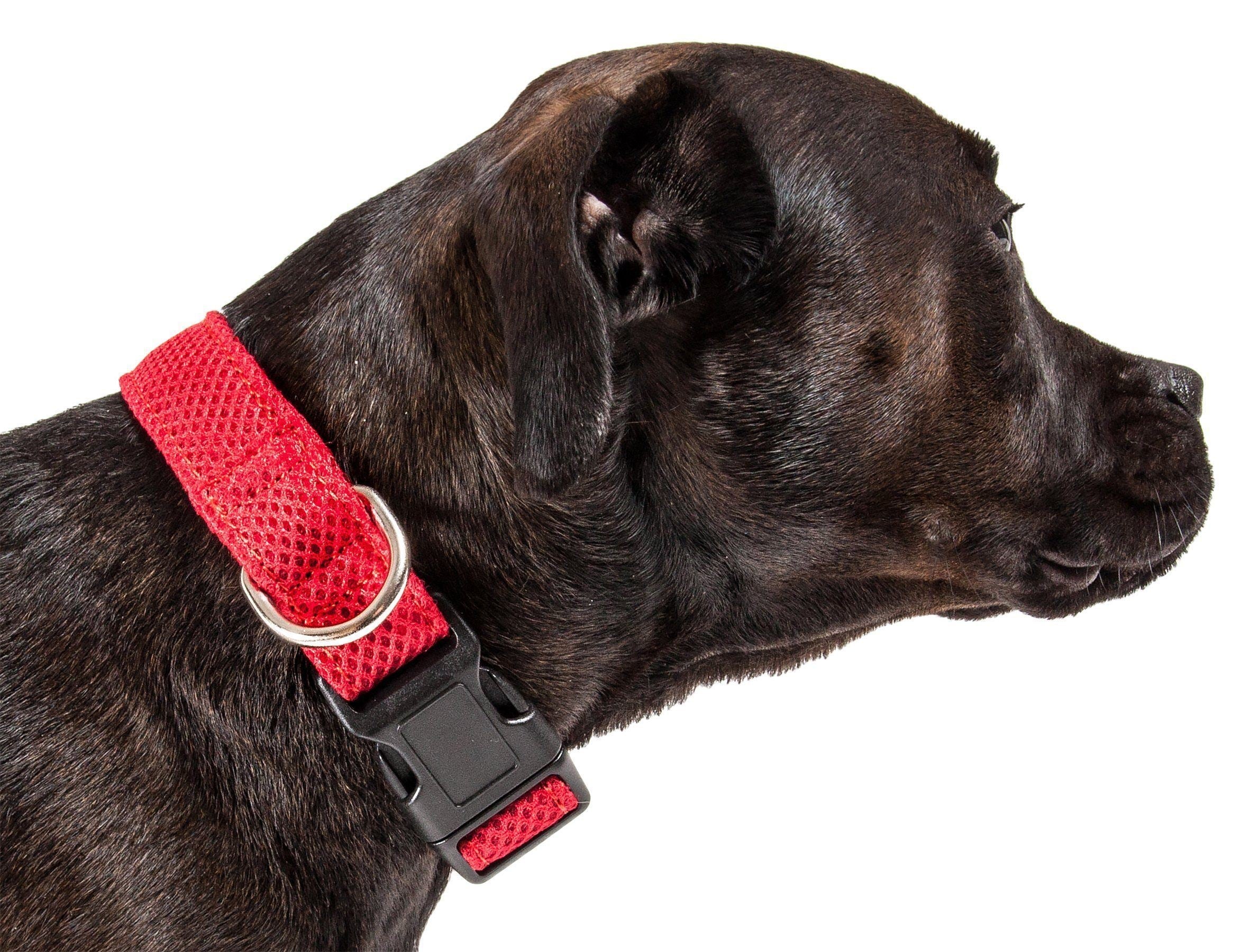 Aero Mesh Dual-Sided Breathable Adjustable Mesh Dog Collar – Multiple Colors