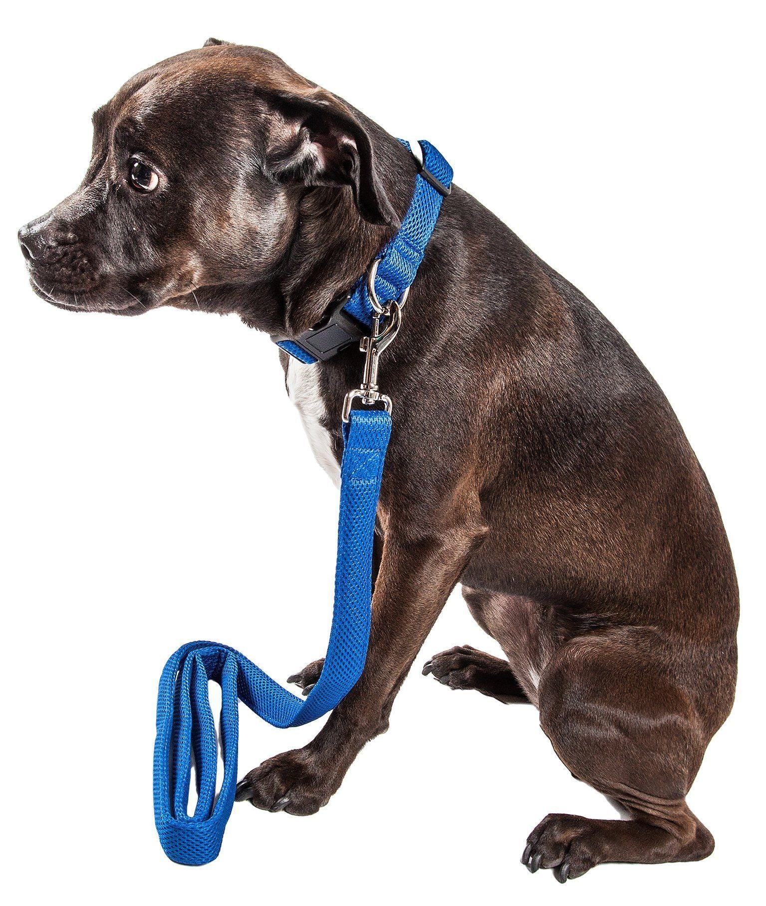 Aero Mesh Breathable Adjustable Dual-Sided Mesh Dog Leash – Multiple Colors