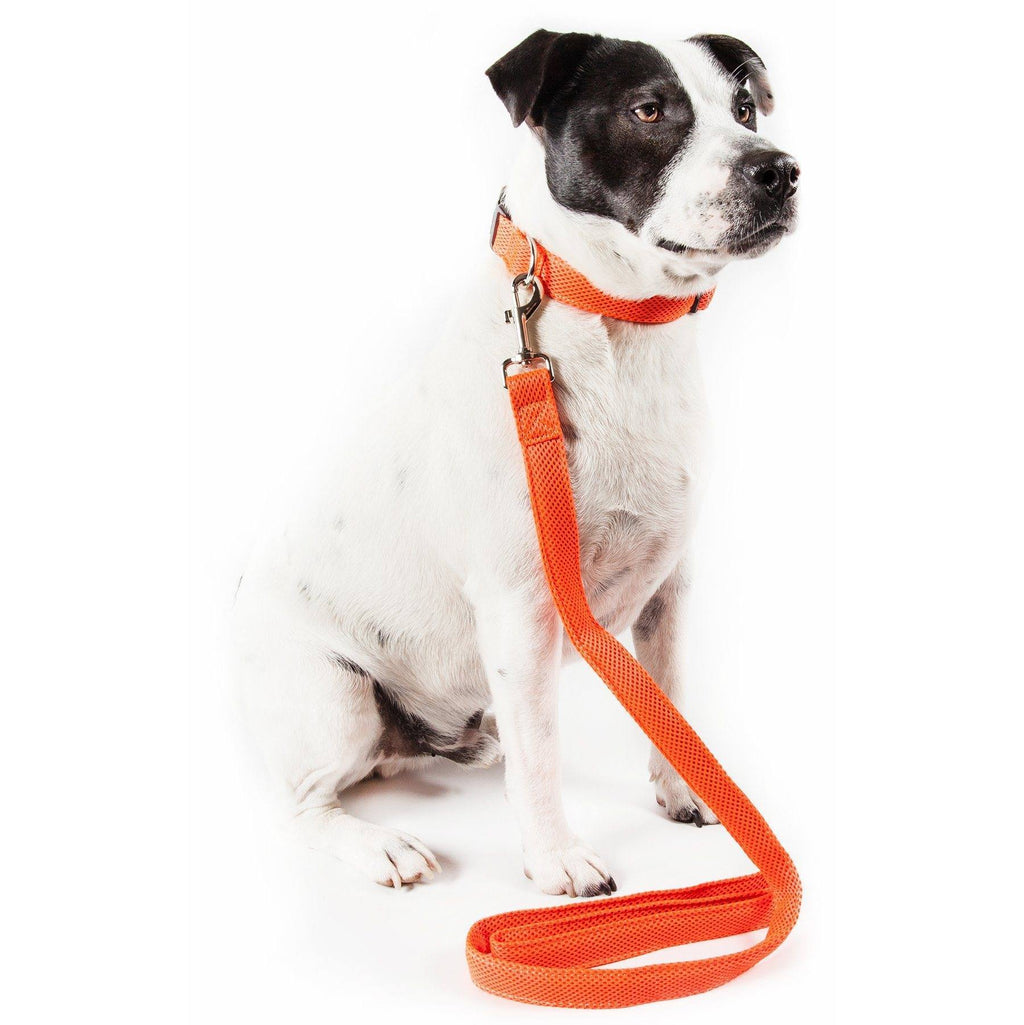 Aero Mesh Breathable Adjustable Dual-Sided Mesh Dog Leash – Multiple Colors