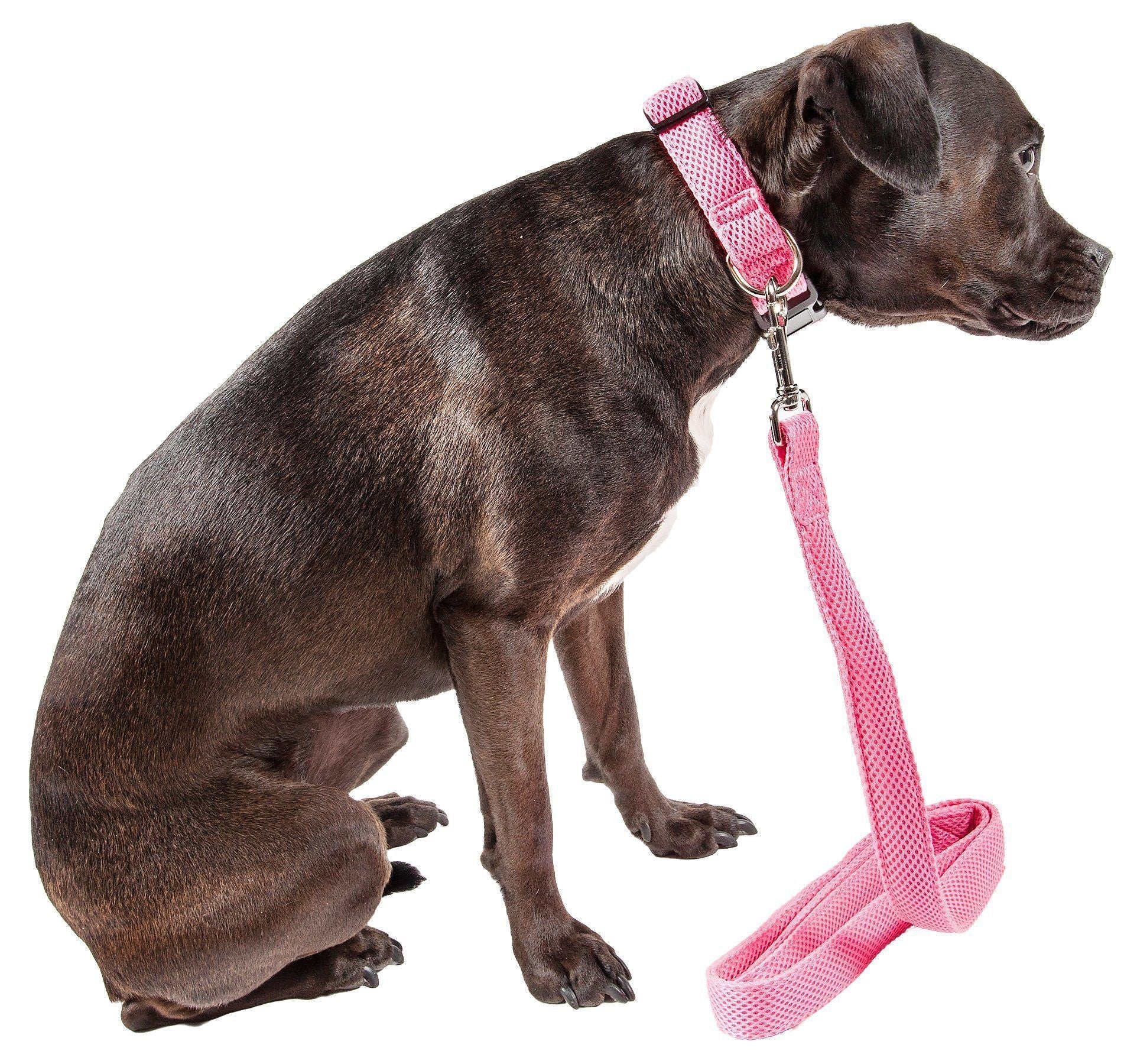 Aero Mesh Breathable Adjustable Dual-Sided Mesh Dog Leash – Multiple Colors