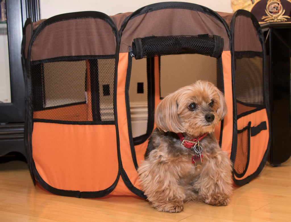 All-Terrain Lightweight Folding Wire-Framed Collapsible Travel Dog Playpen