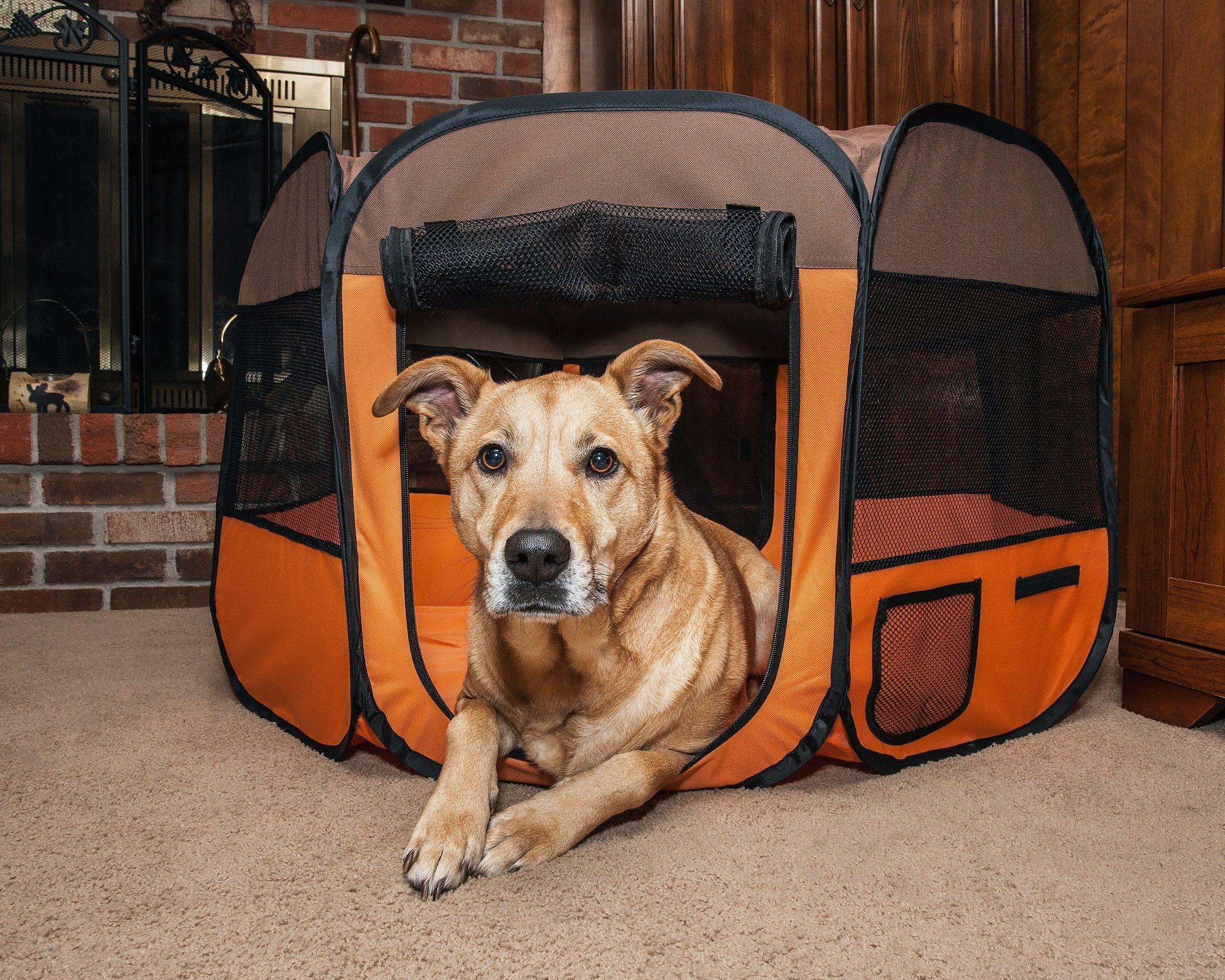 All-Terrain Lightweight Folding Wire-Framed Collapsible Travel Dog Playpen
