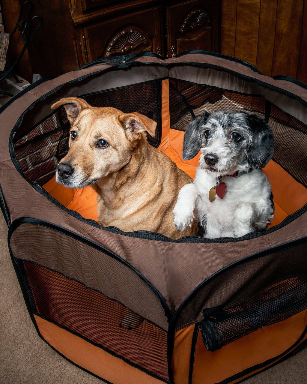 All-Terrain Lightweight Folding Wire-Framed Collapsible Travel Dog Playpen