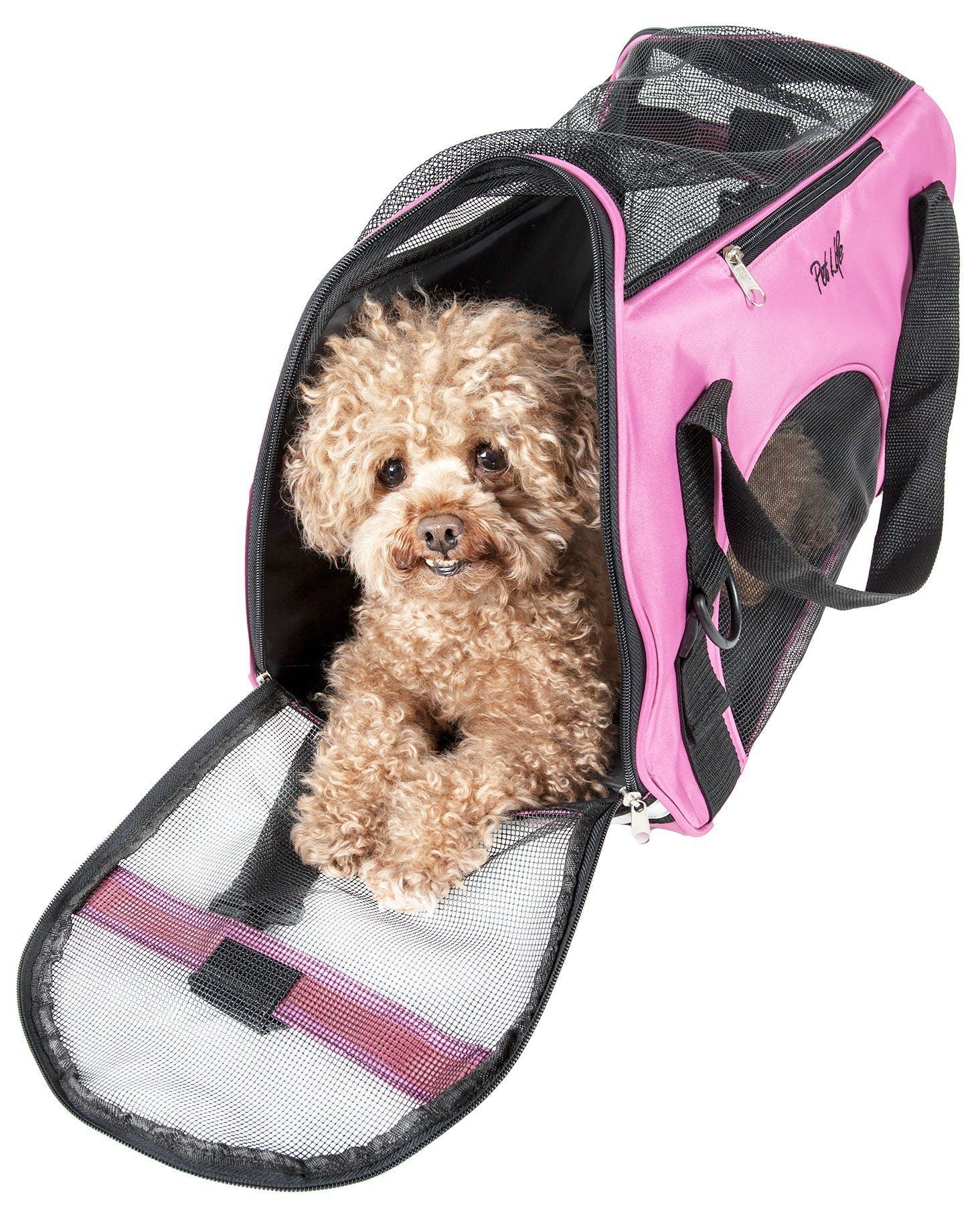 Altitude Force Airline Approved Sporty Zippered Fashion Pet Dog Carrier