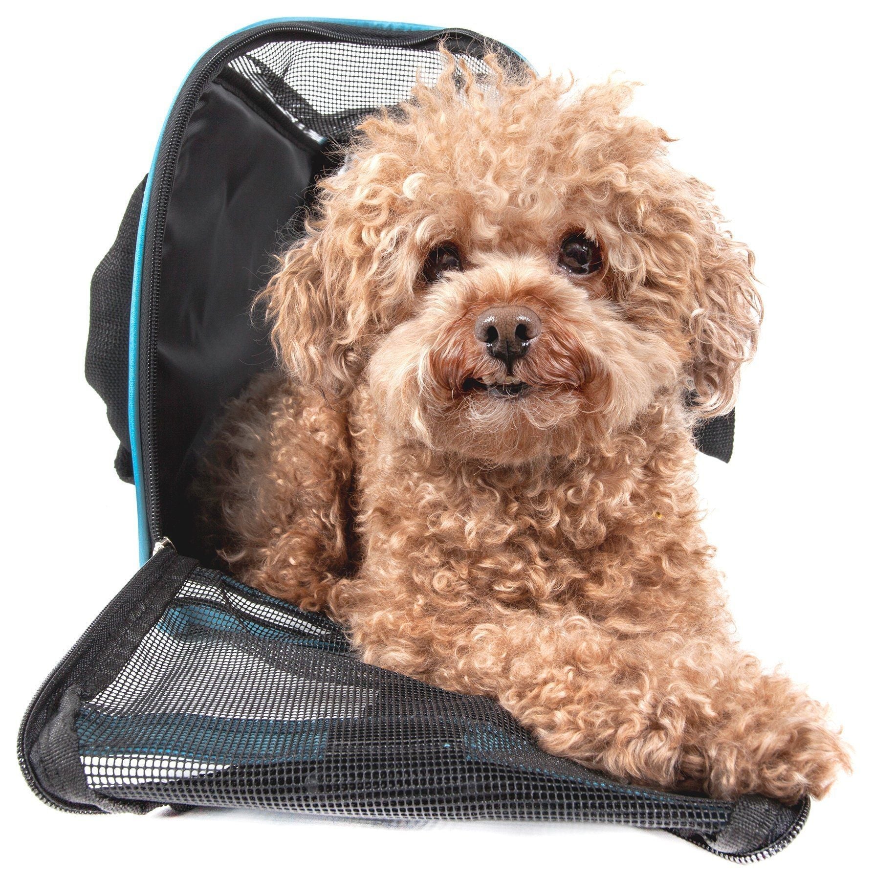 Altitude Force Airline Approved Sporty Zippered Fashion Pet Dog Carrier