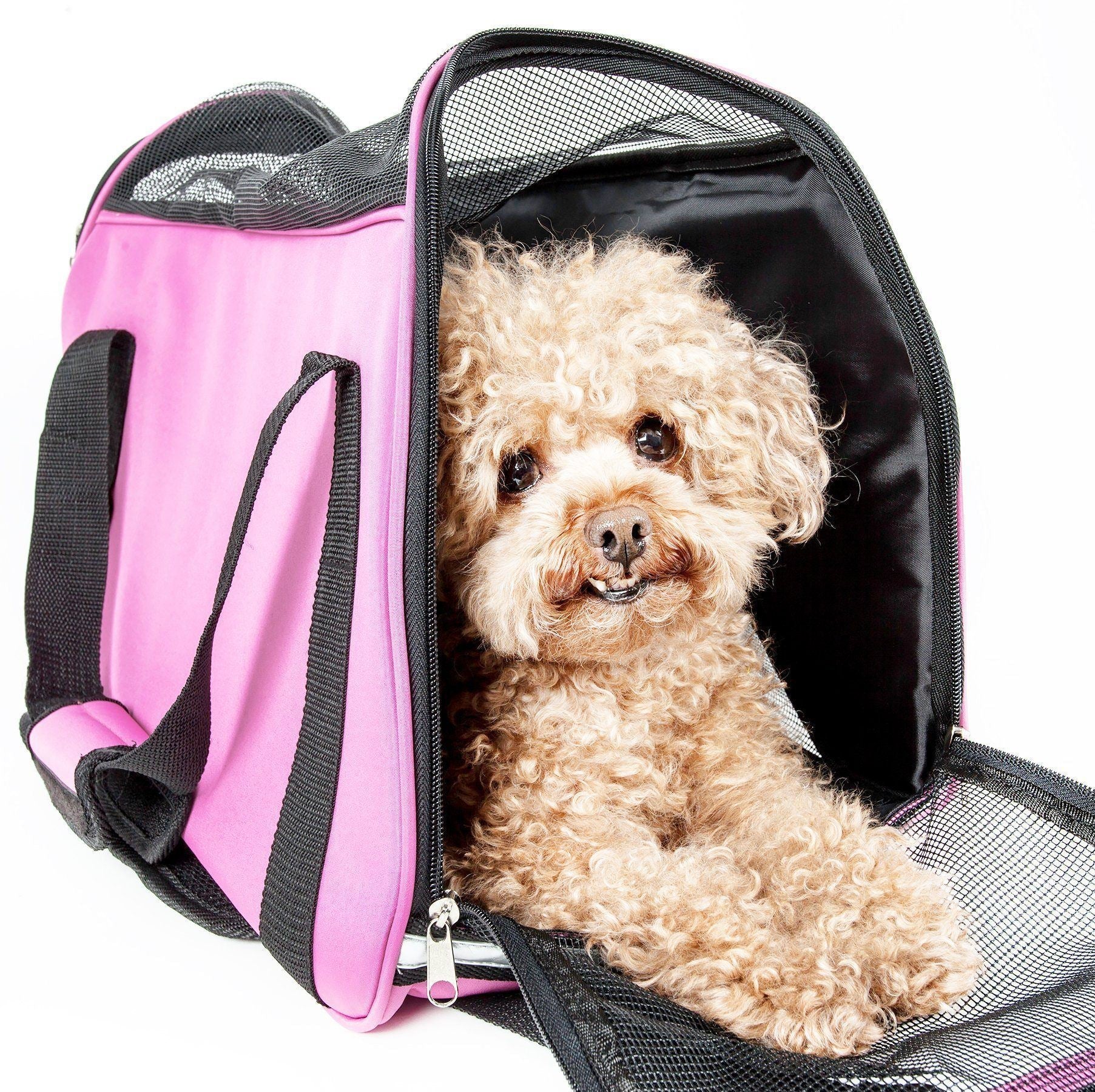 Altitude Force Airline Approved Sporty Zippered Fashion Pet Dog Carrier