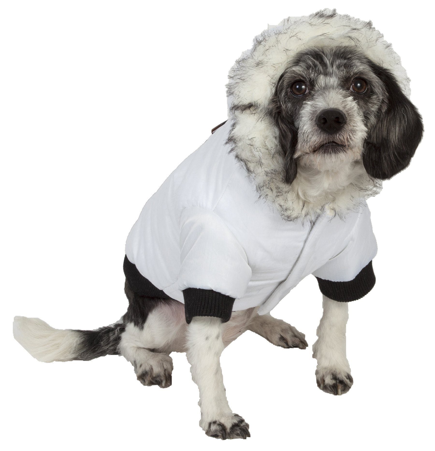 Aspen Winter-White 3M Insulated Fashion Parka Dog Coat