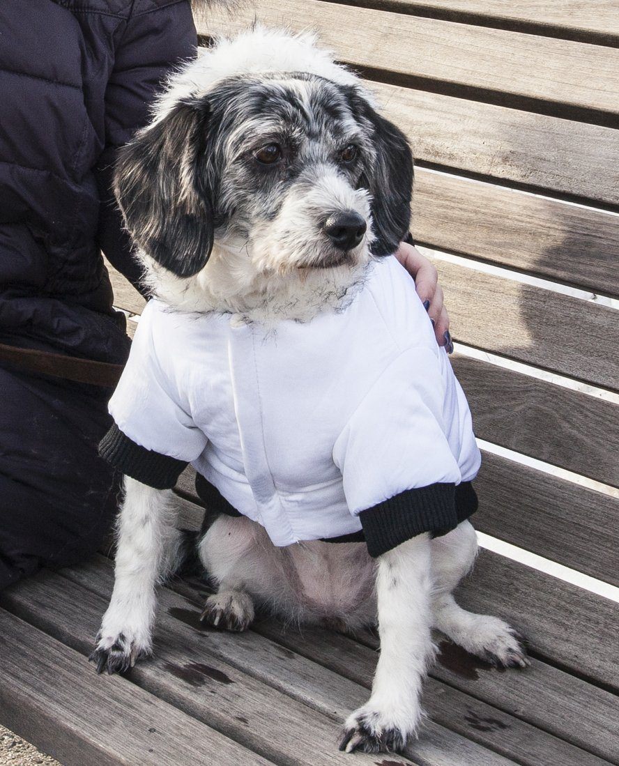 Aspen Winter-White 3M Insulated Fashion Parka Dog Coat