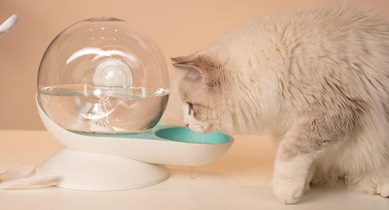 Auto-Myst Snail Shaped 2-in-1 Gravity Filtered Water Dispenser and Food Bowl