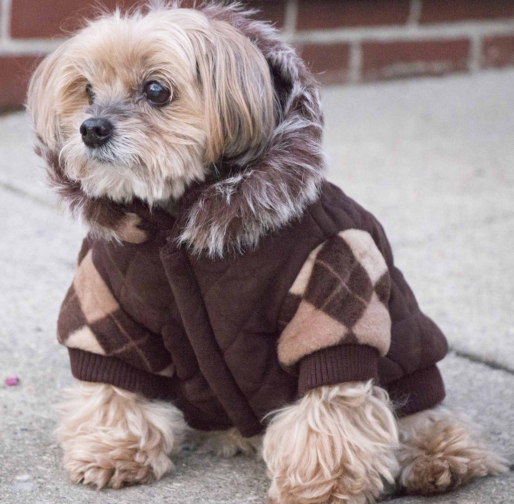 Aygyle Style 3M Insulated Patterned Suede Dog Coat with Removable Hood