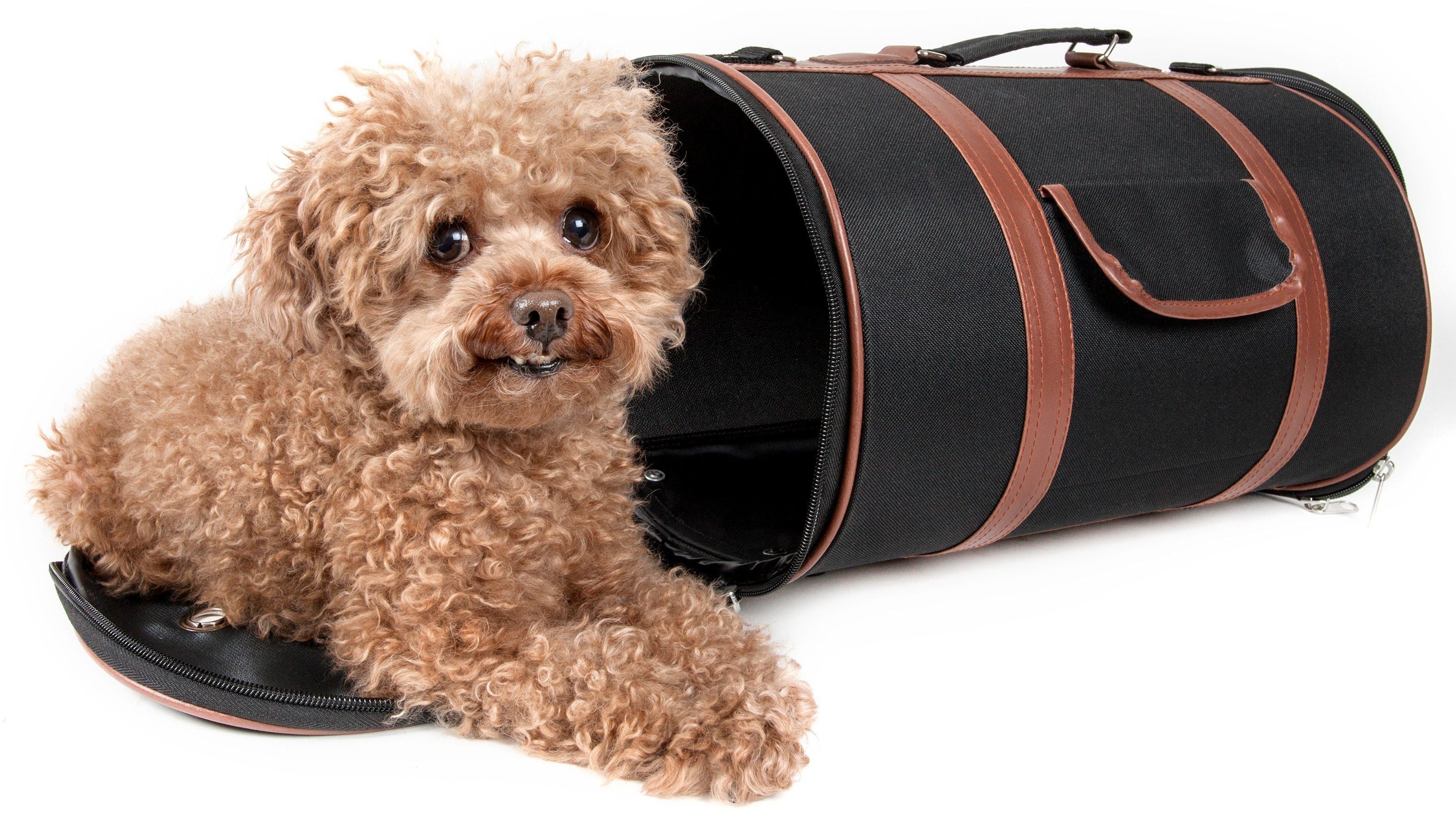 Bark Avenue Cylindrical Airline Approved Fashion Designer Pet Carrier