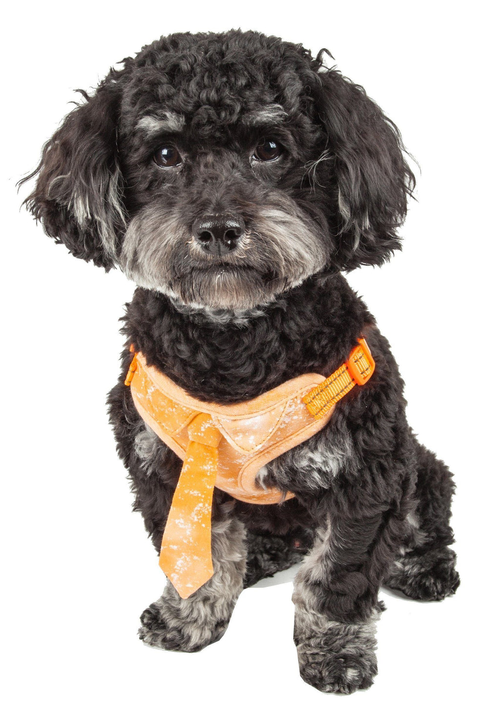 Bonatied Mesh Adjustable Dog Harness with Designer Neck Tie