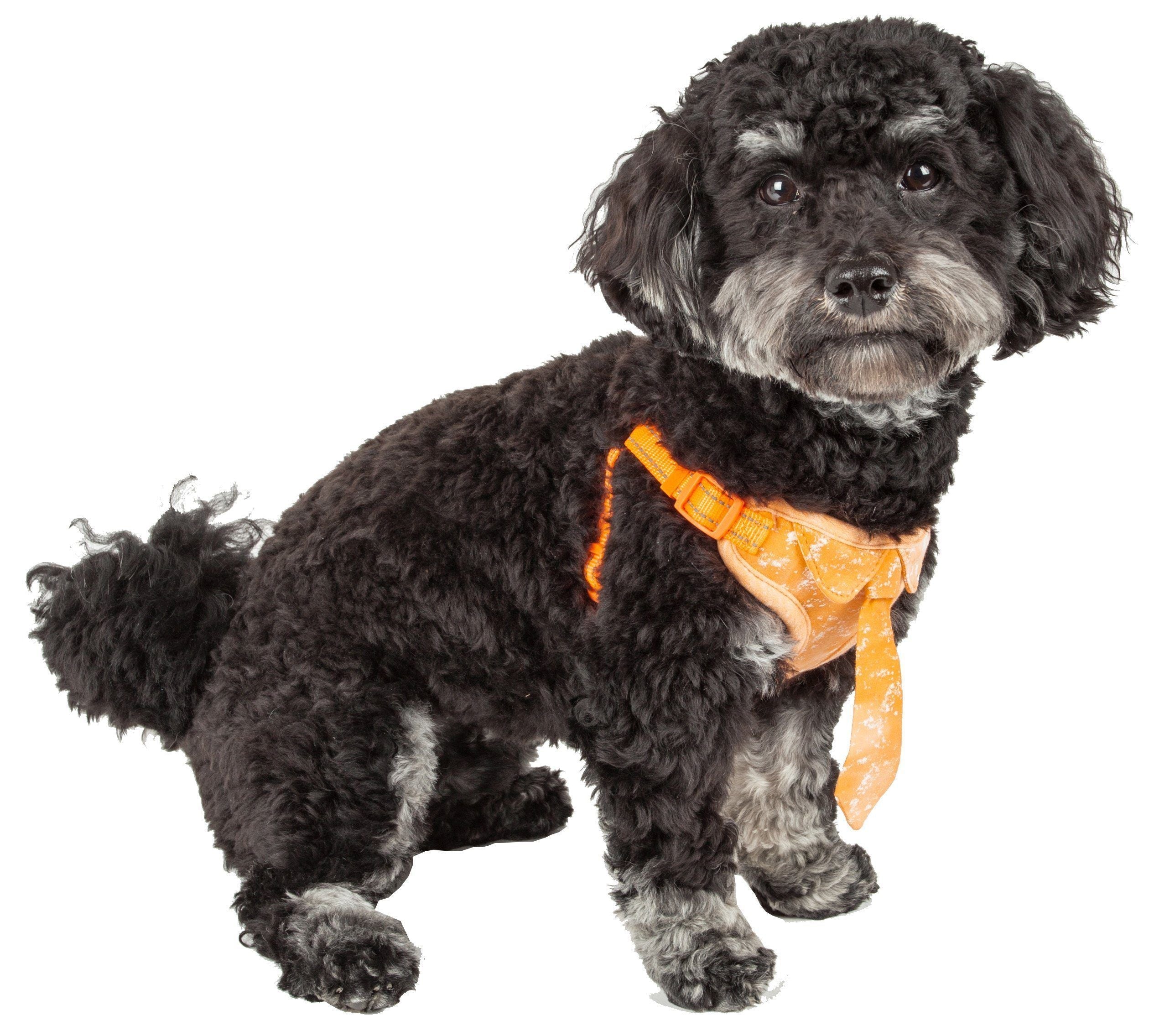 Bonatied Mesh Adjustable Dog Harness with Designer Neck Tie