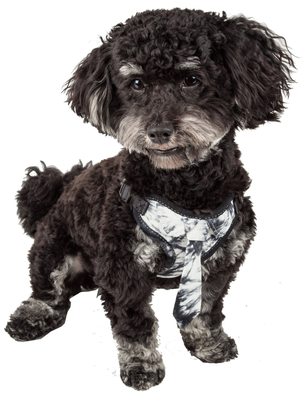 Bonatied Mesh Adjustable Dog Harness with Designer Neck Tie