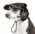 Cap-Tivating UV Protectant Adjustable Dog Hat Cap – Multiple Colors