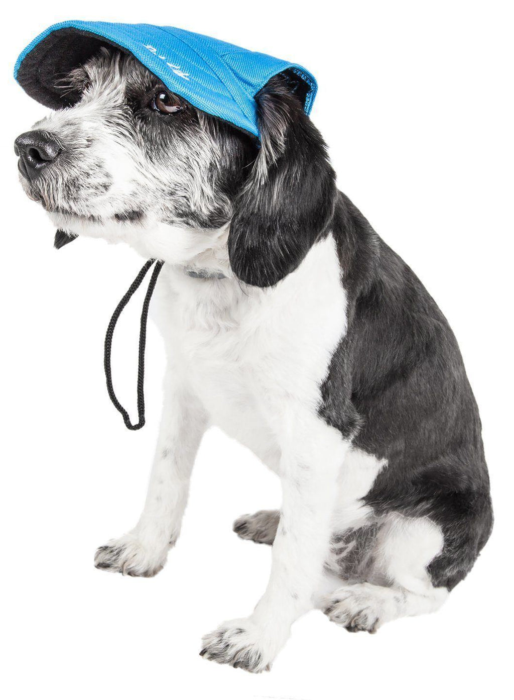 Cap-Tivating UV Protectant Adjustable Dog Hat Cap – Multiple Colors