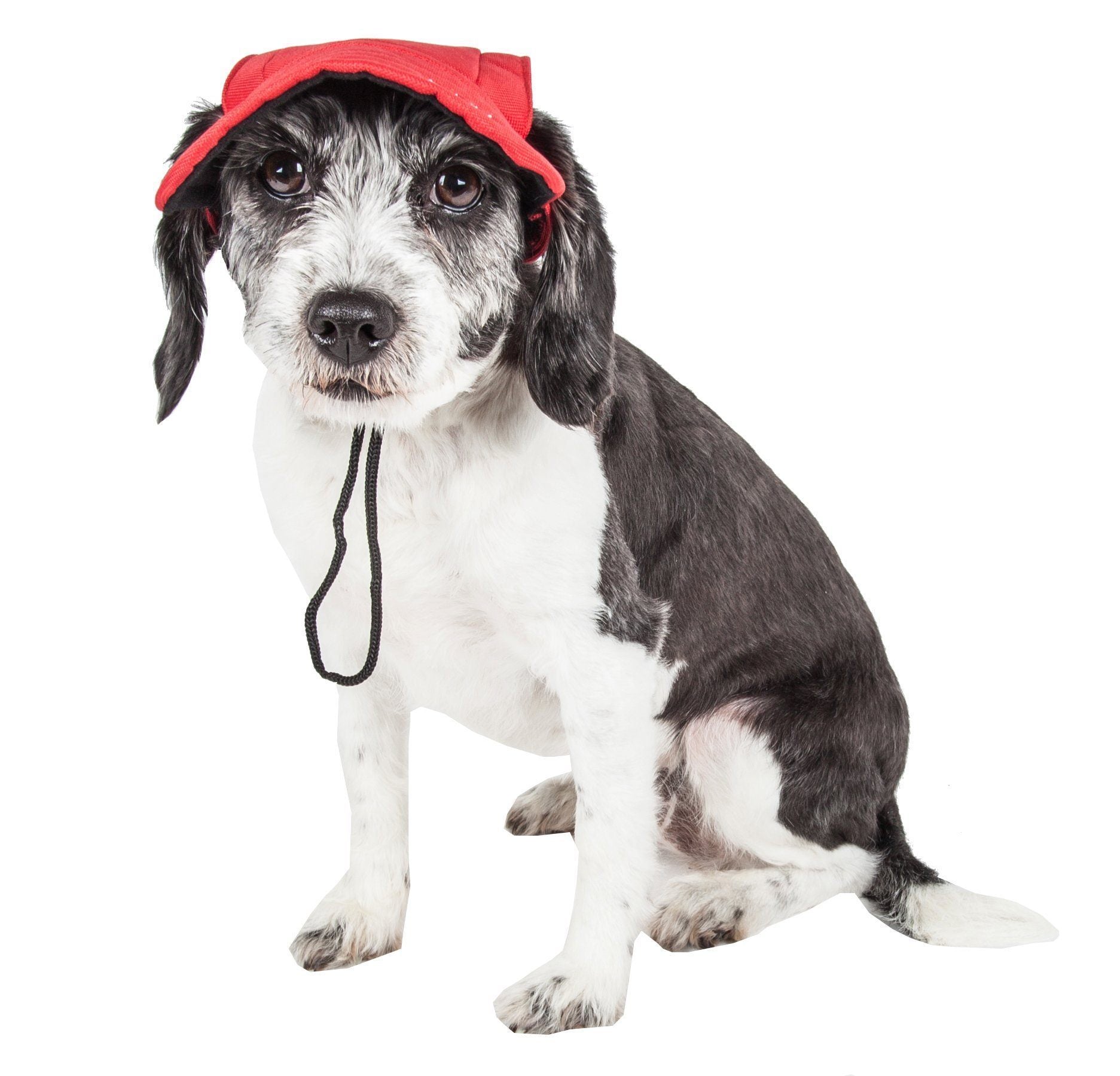 Cap-Tivating UV Protectant Adjustable Dog Hat Cap – Multiple Colors