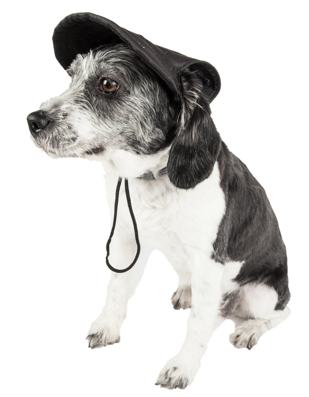 Cap-Tivating UV Protectant Adjustable Dog Hat Cap – Multiple Colors