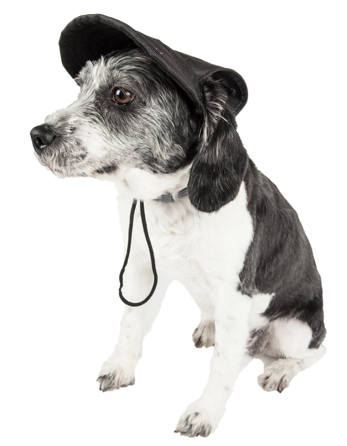 Cap-Tivating UV Protectant Adjustable Dog Hat Cap – Multiple Colors