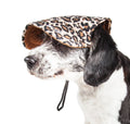 Cheetah Bonita UV Protectant Adjustable Dog Hat Cap