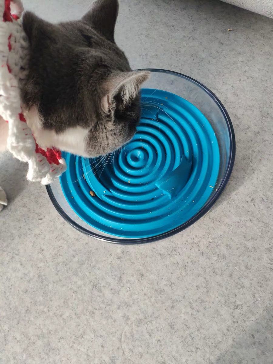 Cirlicue Shark Fin Shaped Modern Slow Feeding Pet Bowl