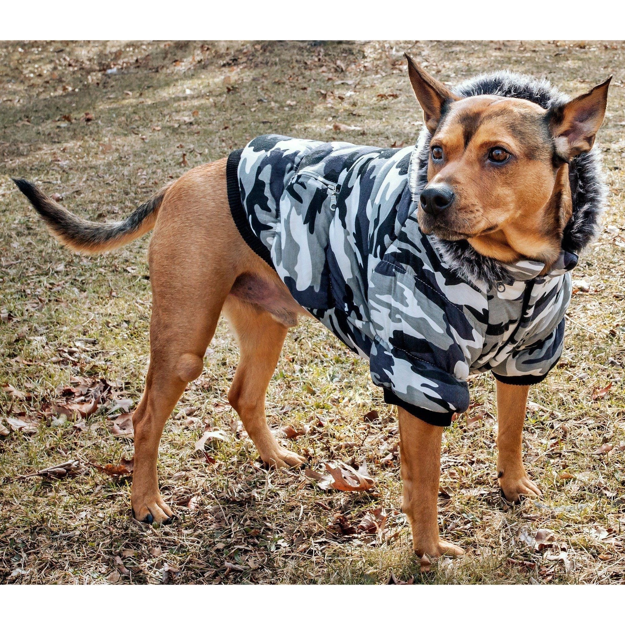 Classic Metallic Fashion 3M Insulated Dog Coat Parka with Removable Hood – Denim Style