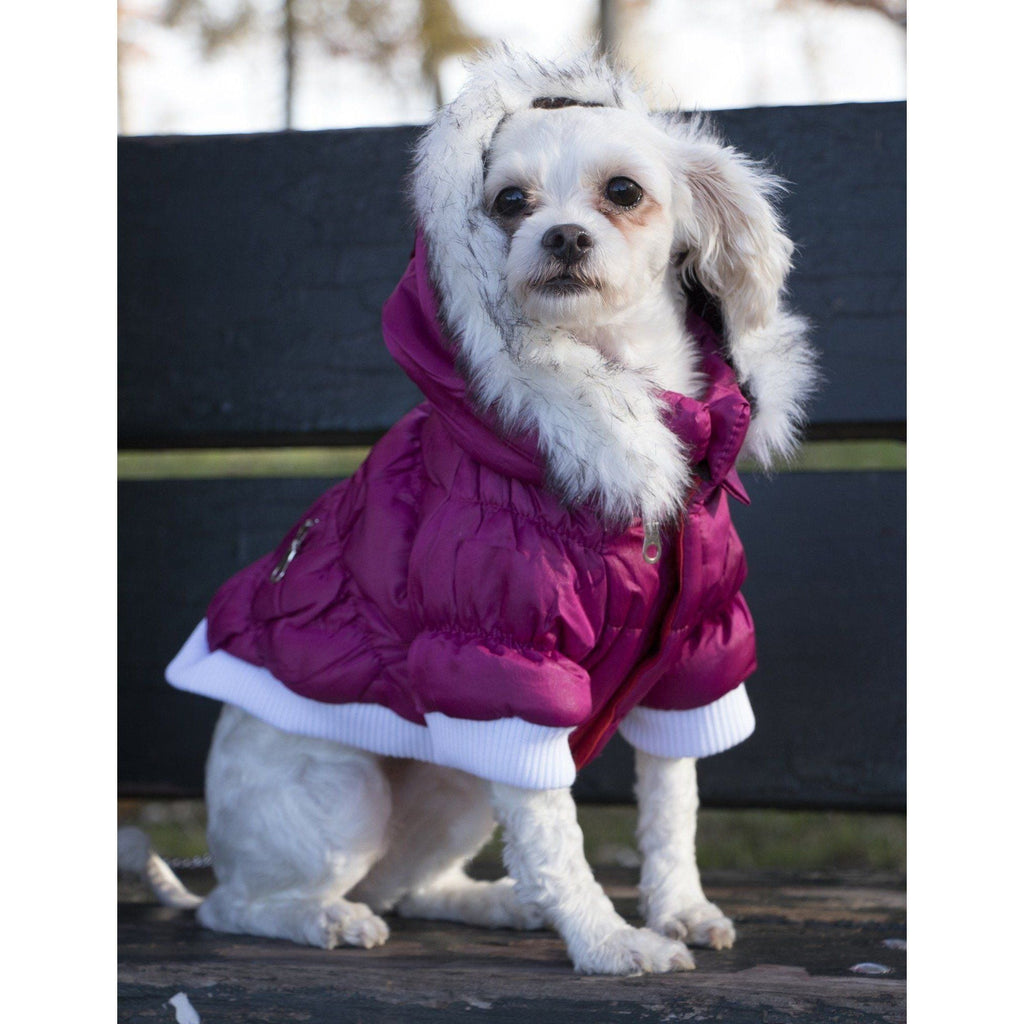 Classic Metallic Fashion 3M Insulated Dog Coat Parka with Removable Hood