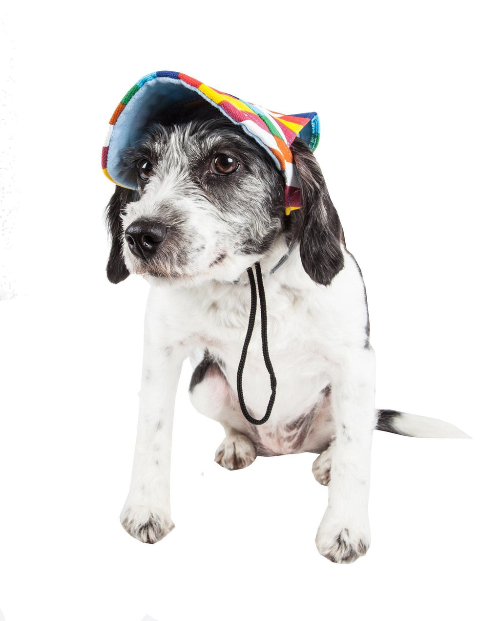 Colorfur Floral UV Protectant Adjustable Dog Hat Cap