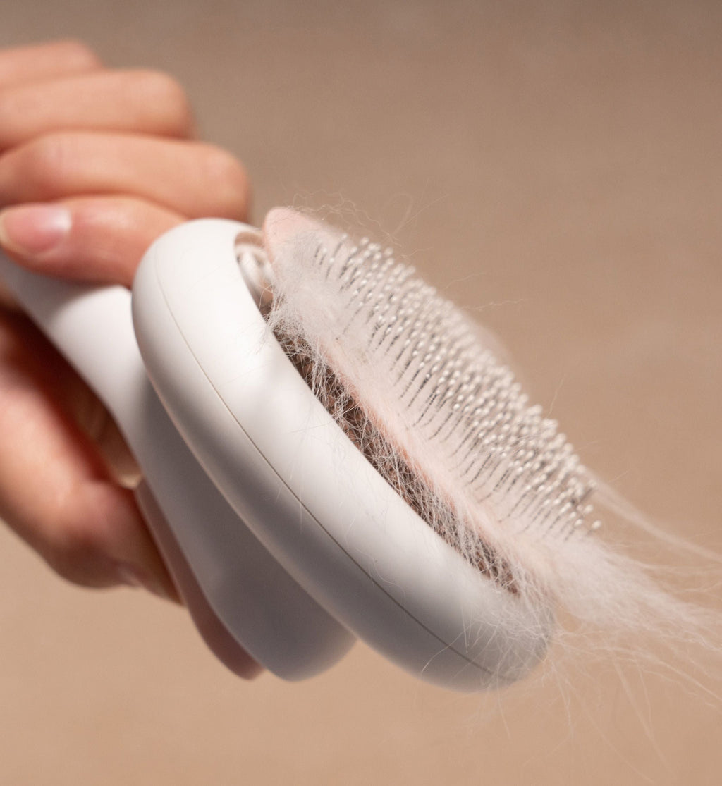 Concepto Modern Bristle Grooming Pet Deshedder Comb