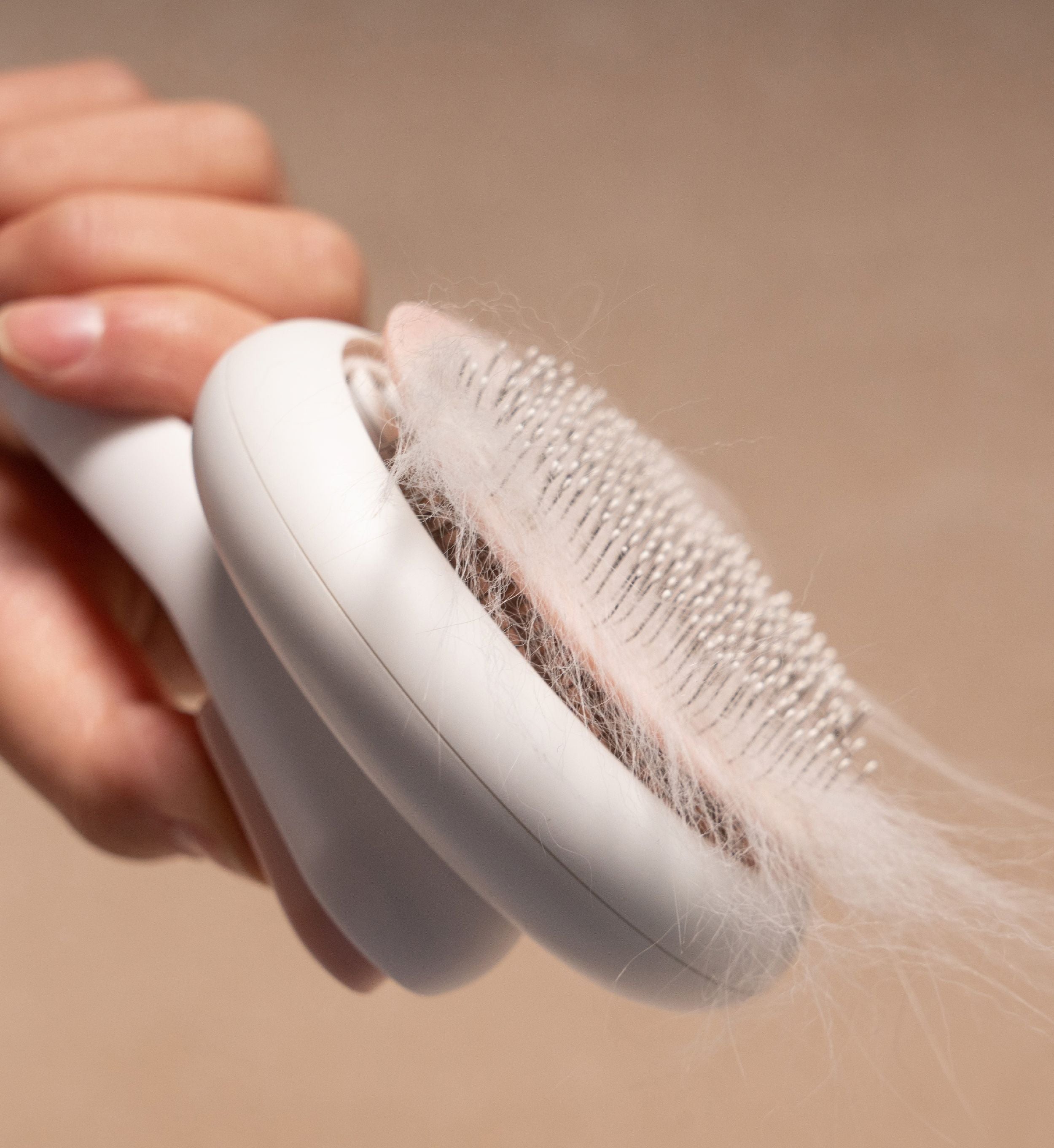 Concepto Modern Bristle Grooming Pet Deshedder Comb