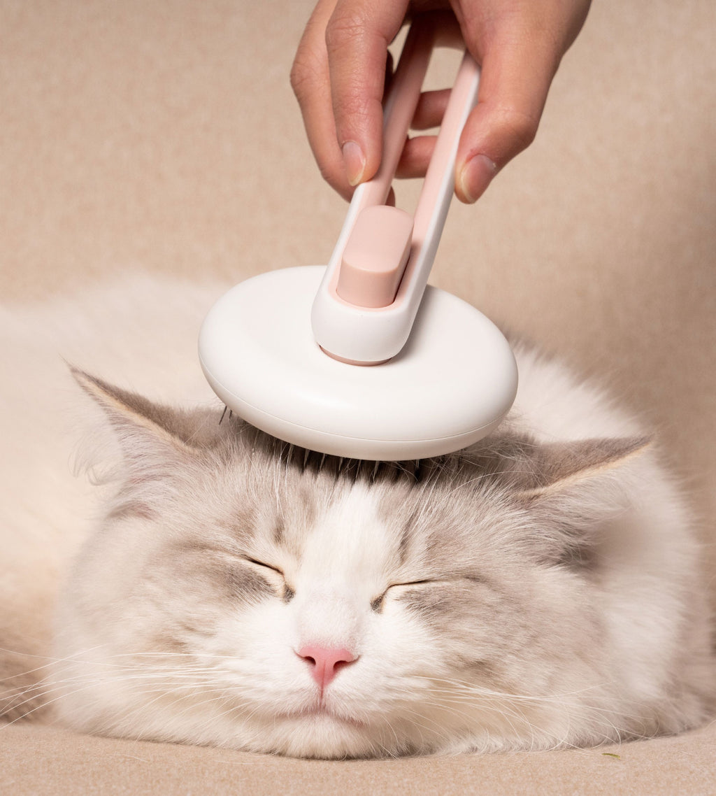 Concepto Modern Bristle Grooming Pet Deshedder Comb