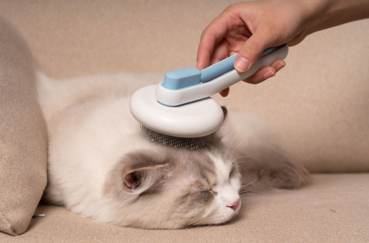 Concepto Modern Bristle Grooming Pet Deshedder Comb