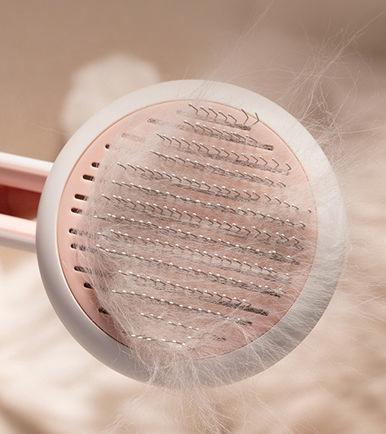 Concepto Modern Bristle Grooming Pet Deshedder Comb