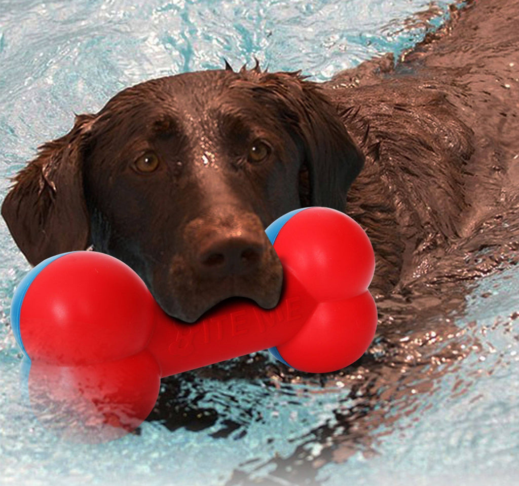 Denta-Bone TPR Durable Waterproof Floating Dog Toy