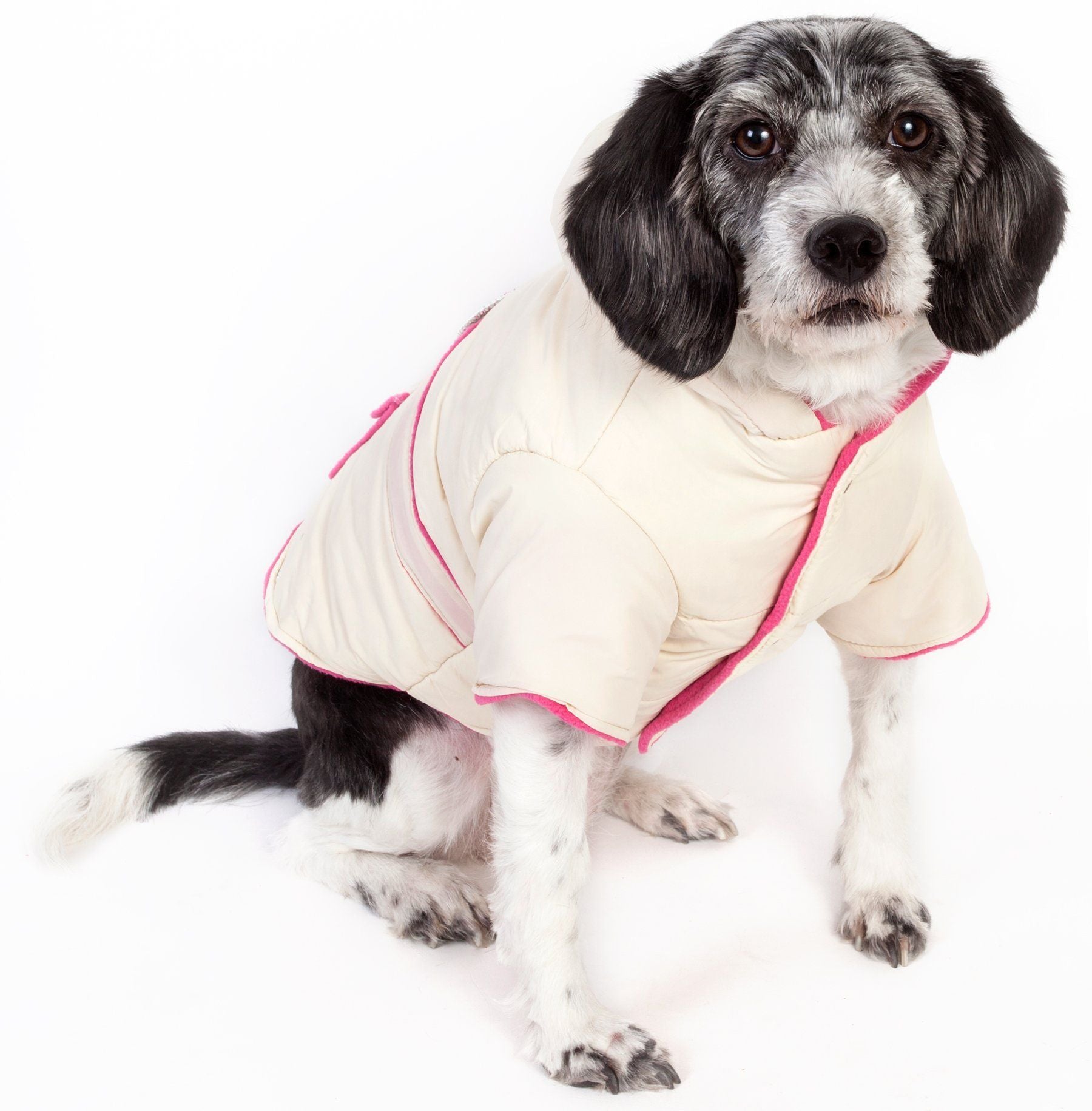 Dual-Toned 3M Insulated Diamond Jeweled Dog Jacket