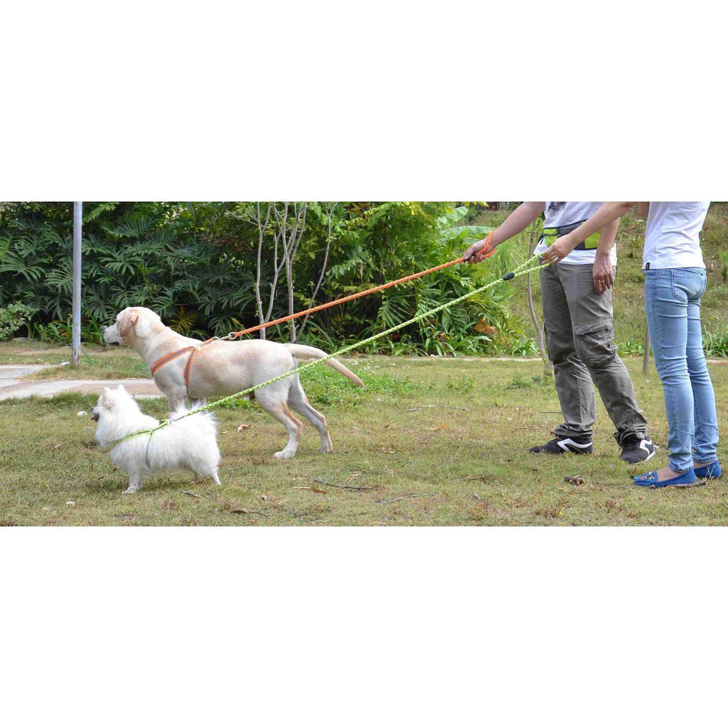 Easy Tension Reflective Stitched Adjustable 2-in-1 Dog Leash and Harness