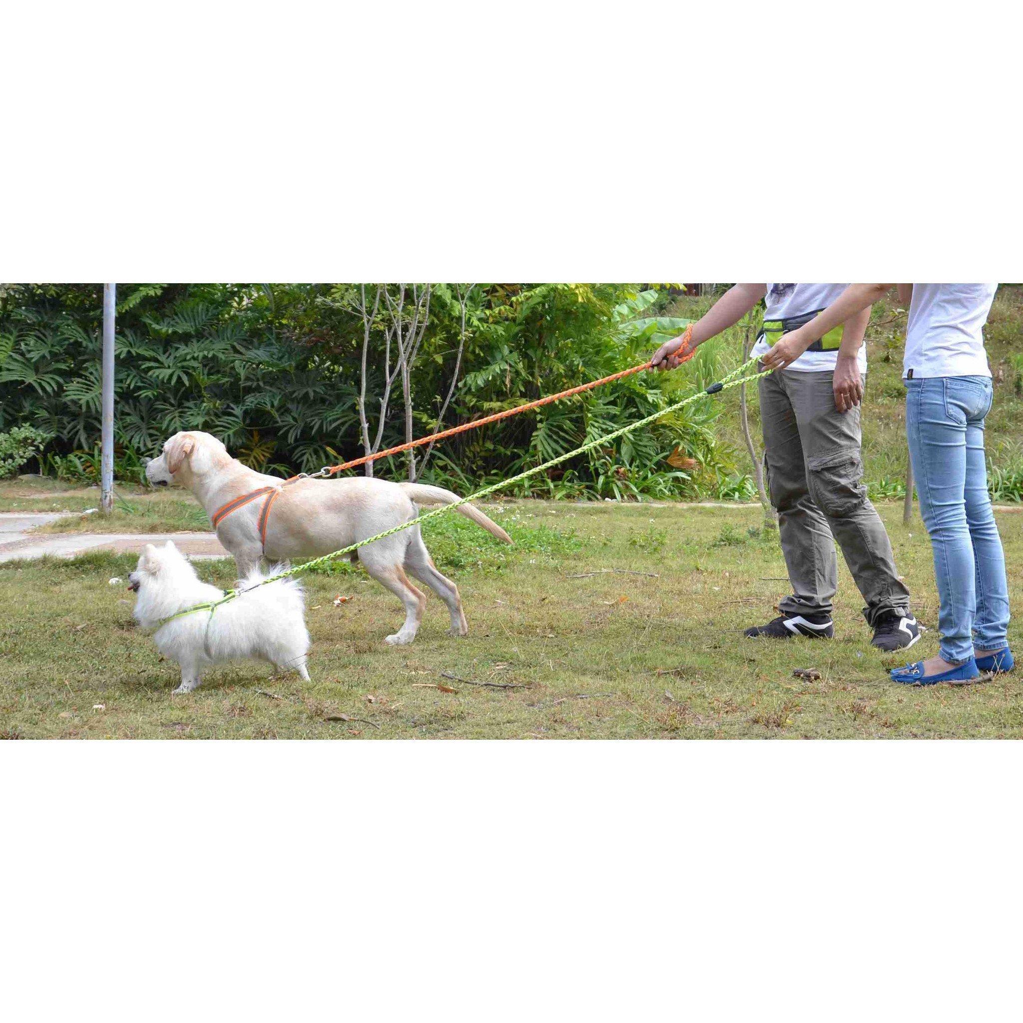 Easy Tension Reflective Stitched Adjustable 2-in-1 Dog Leash and Harness