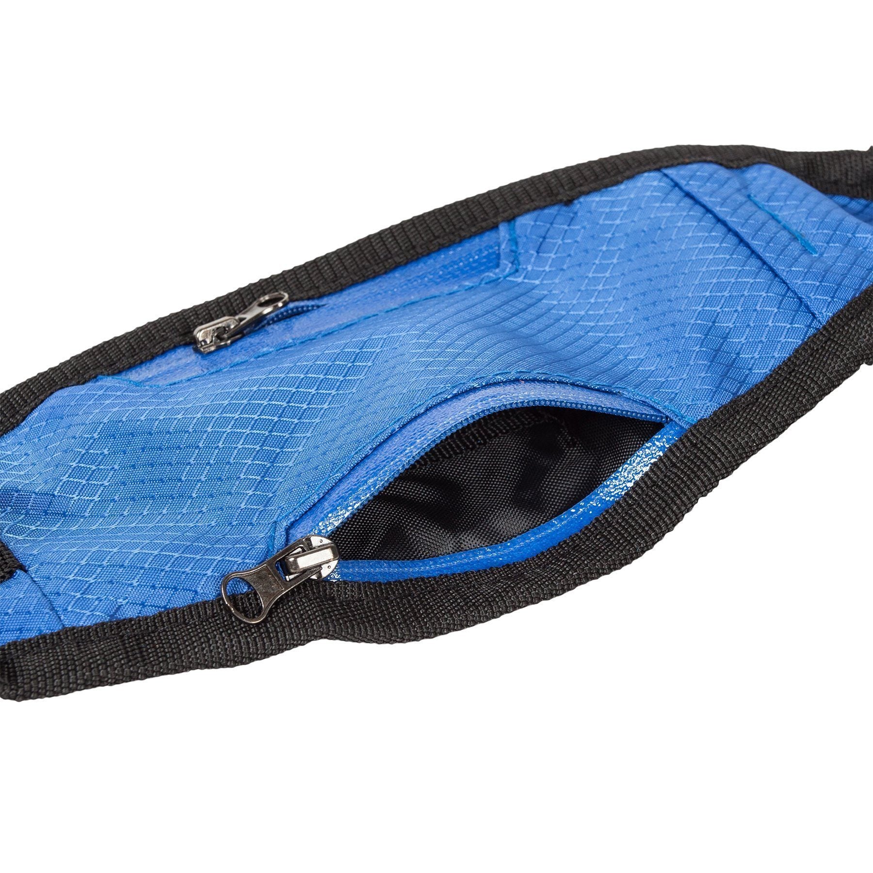 Echelon Hands-Free Convertible 2-in-1 Training Dog Leash and Belt Trainer