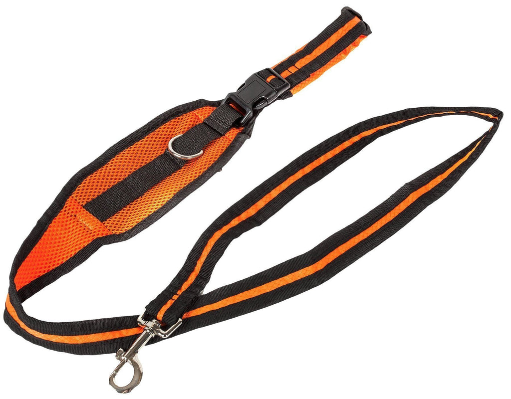 Echelon Hands-Free Convertible 2-in-1 Training Dog Leash and Belt Trainer