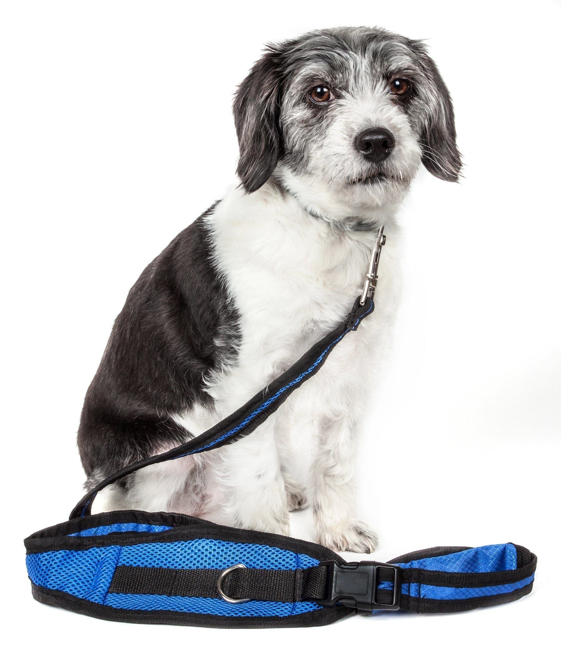 Echelon Hands-Free Convertible 2-in-1 Training Dog Leash and Belt Trainer