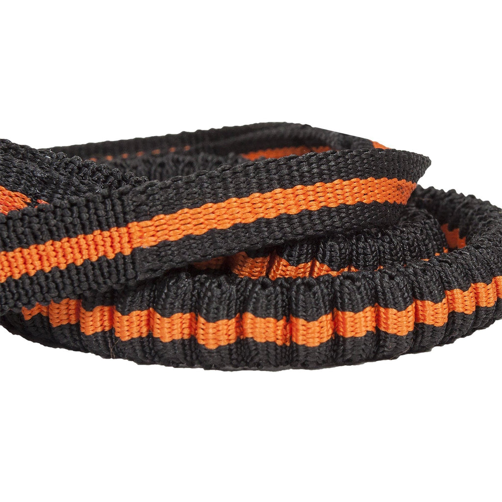 Echelon Hands-Free Convertible 2-in-1 Training Dog Leash and Belt Trainer