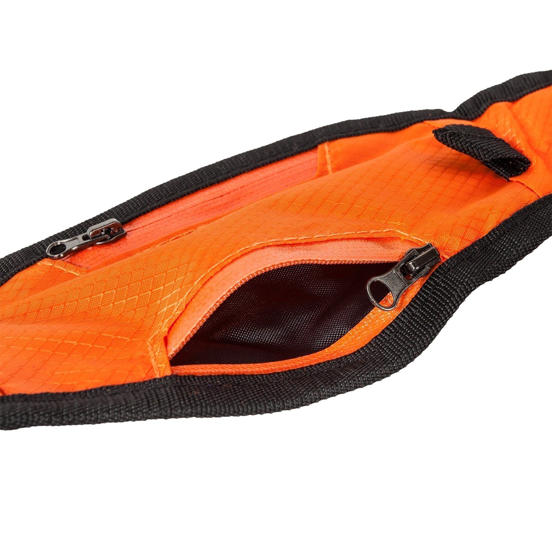 Echelon Hands-Free Convertible 2-in-1 Training Dog Leash and Belt Trainer