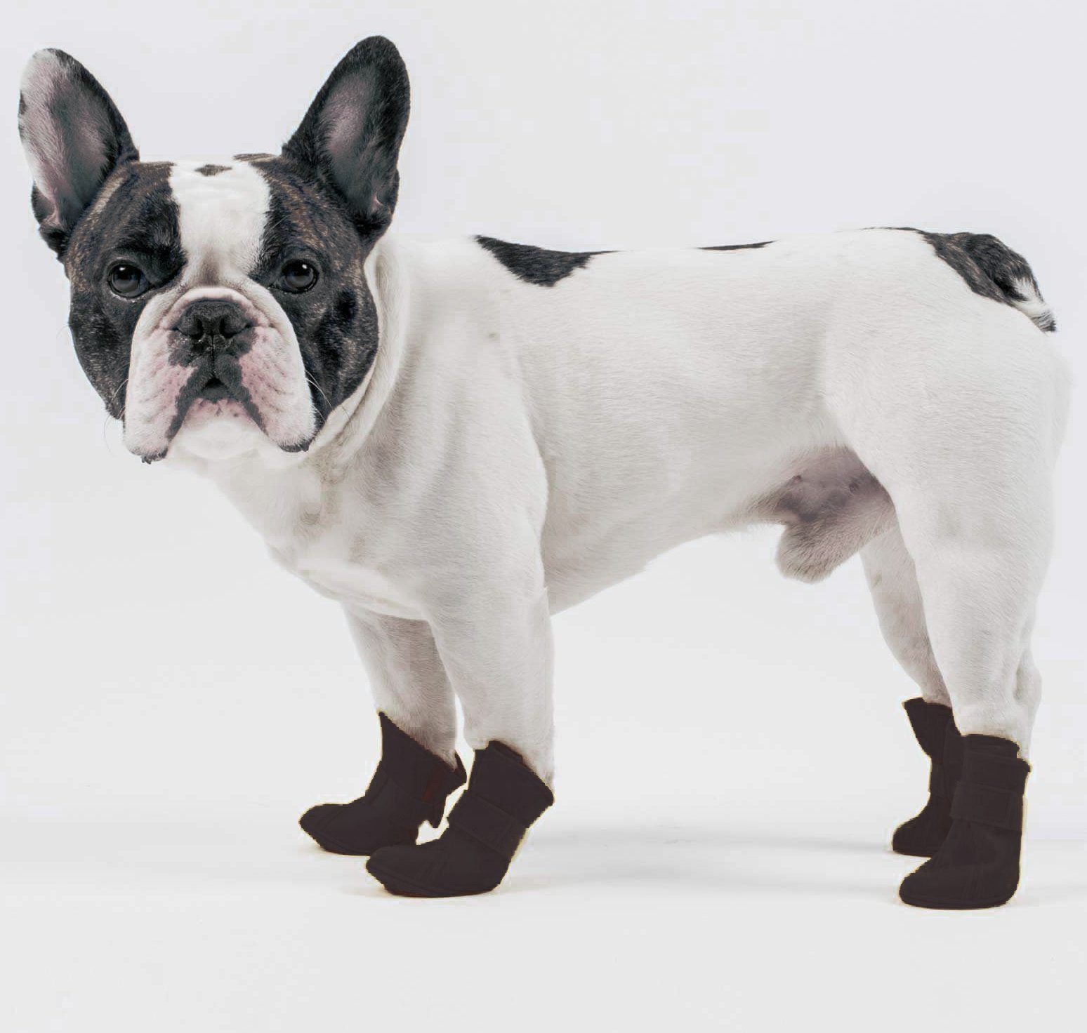 Elastic Protective Multi-Usage All-Terrain Rubberized Dog Shoes – Set of 4