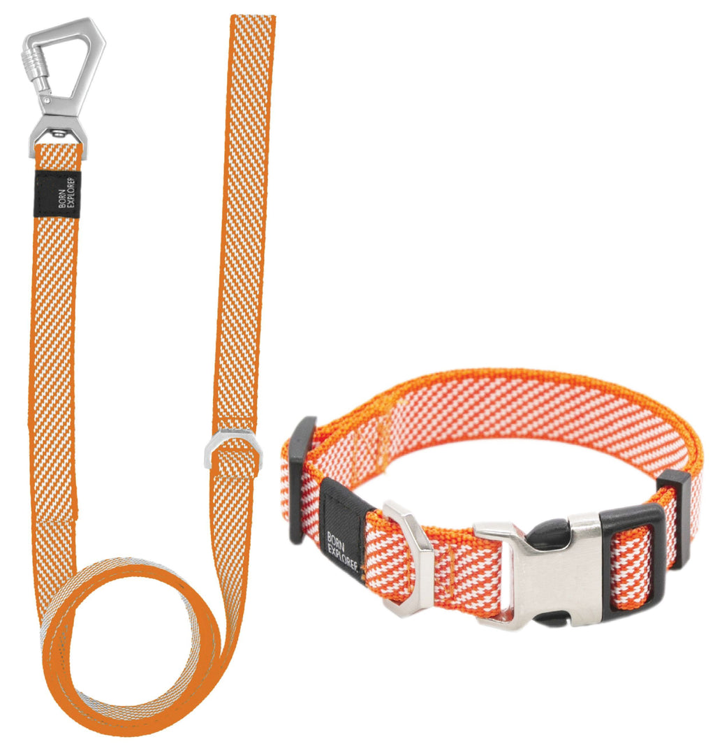 Escapade Outdoor 2-in-1 Convertible Dog Leash and Collar