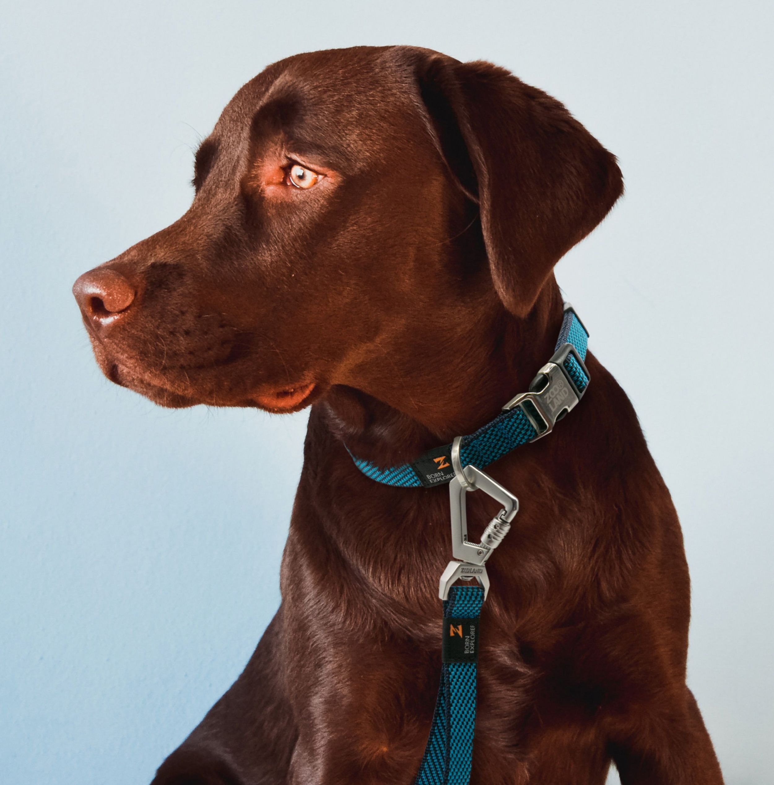 Escapade Outdoor 2-in-1 Convertible Dog Leash and Collar