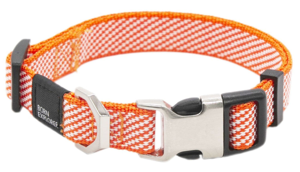 Escapade Outdoor 2-in-1 Convertible Dog Leash and Collar