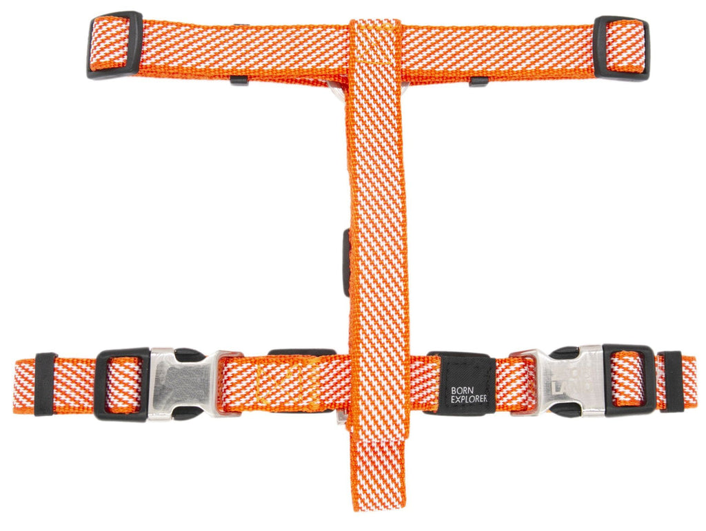 Escapade Outdoor 2-in-1 Convertible Dog Leash and Harness